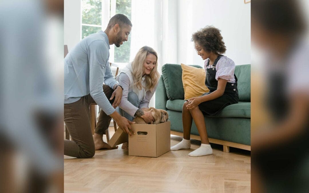 6 Reasons Why Pets Aren’t Ideal Easter Gifts: A Thoughtful Consideration